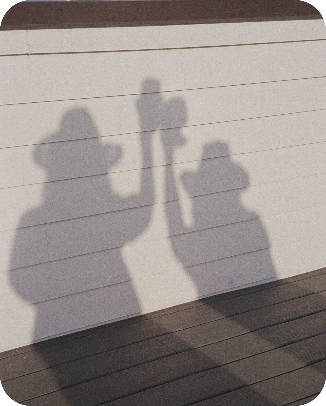 Shadow of two people toasting a drink